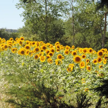 La Periole Holiday home Laurabuc