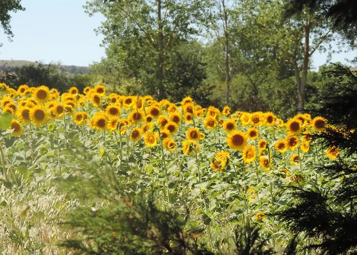La Periole Semesterbostad Laurabuc